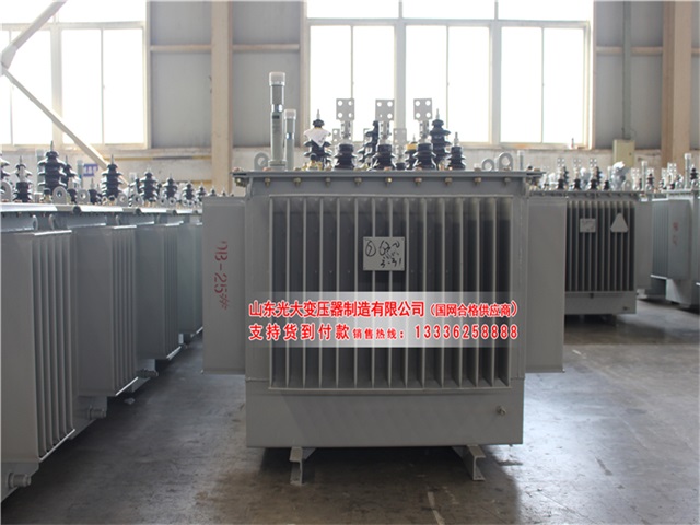 荆州S22-4000KVA油浸式变压器